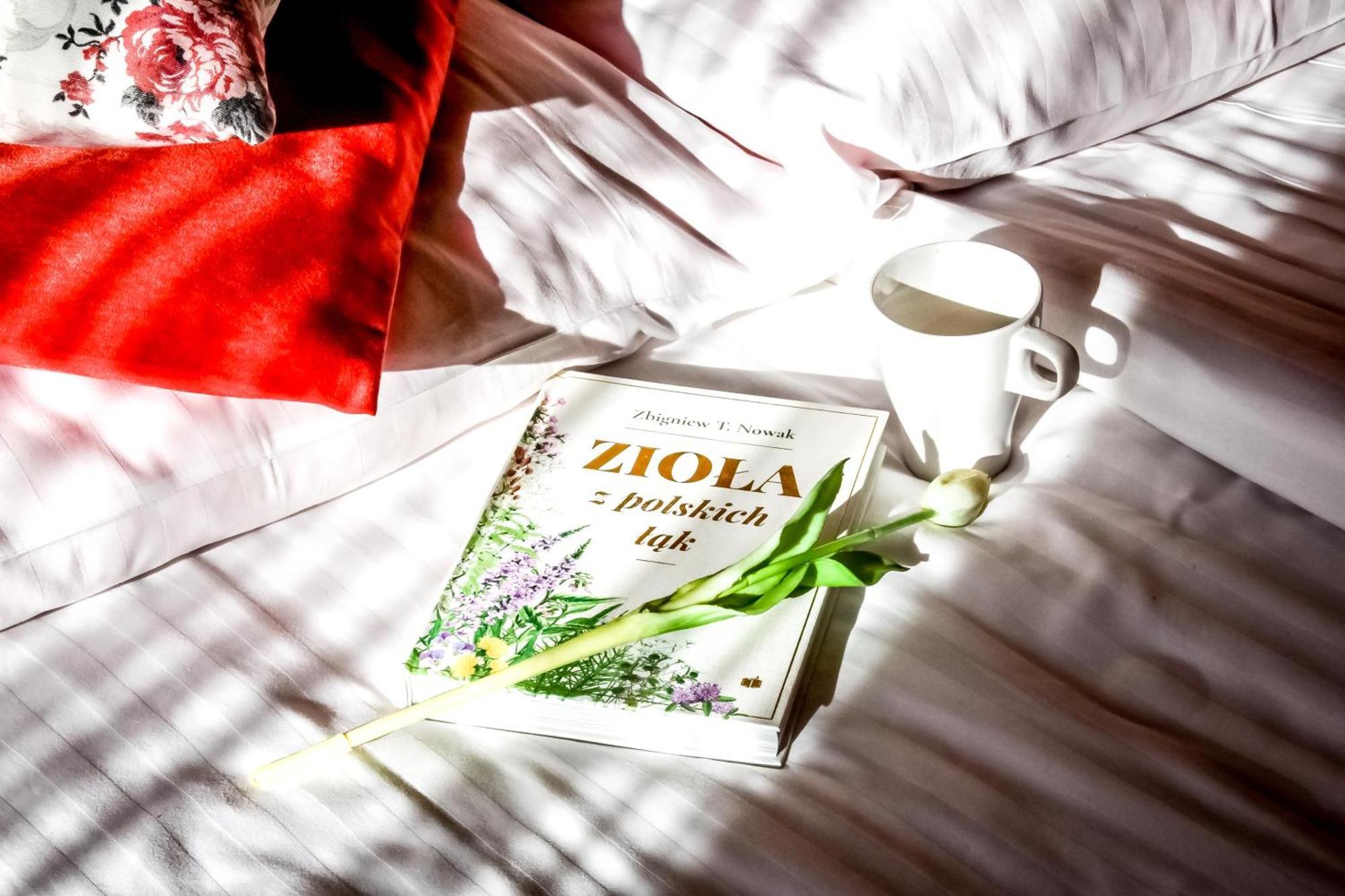 Domek Na Harendzie Zakopane Ngoại thất bức ảnh